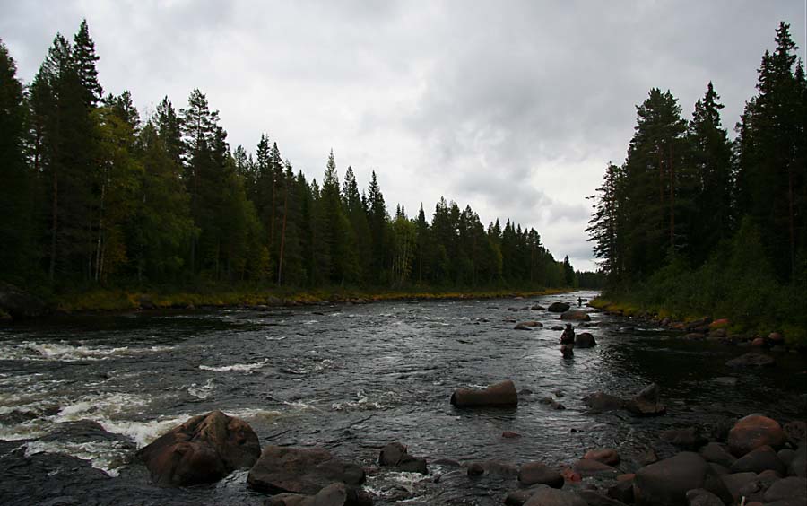 Rotälven i Dalarna | Älvdalen Fiske